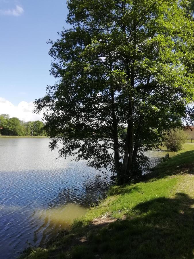 Au Clos De L'Etang Ravel 外观 照片